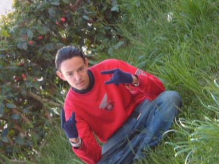 walid